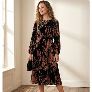 NWT Coldwater Creek Floral Burnout Velvet Dress